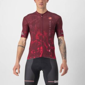 CAMISA CASTELLI SFORZATO DI VALENTINA BORDEAUX